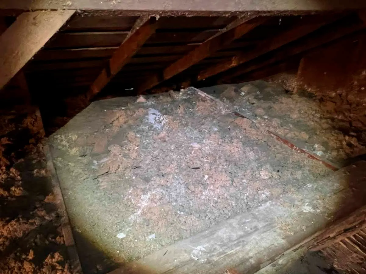 cellulose-insulation-by-jtsinsulation